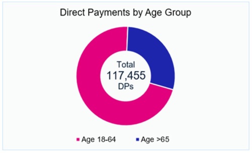 Direct Payments by Age Group.jpg