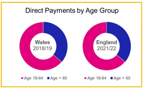 DPs by Age Group.jpg
