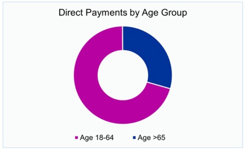 Direct Payments by Age Group.jpg